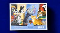 Katzen- Puzzle, Puzzle Hessen - Bad Soden am Taunus Vorschau