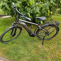 E-Bike Giant Brandenburg - Schwedt (Oder) Vorschau