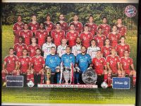 Puzzle FC Bayern München Saison 2013/2014, 300 Teile Sachsen - Neumark Vorschau
