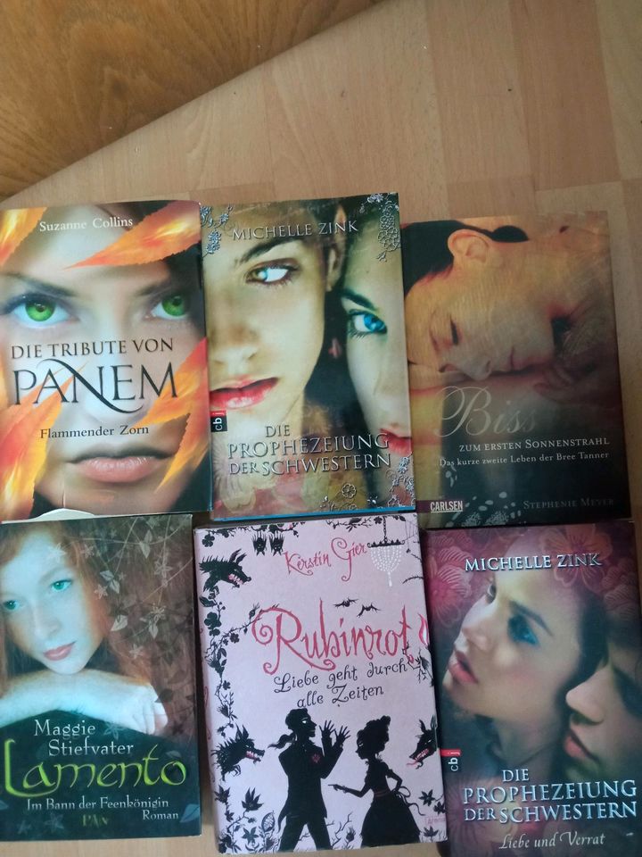 6 Fantasy Romane, Paketpreis in Windeck
