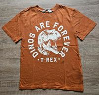 T-Shirt T-Rex H&M Gr.122/128 Frankfurt am Main - Niederursel Vorschau