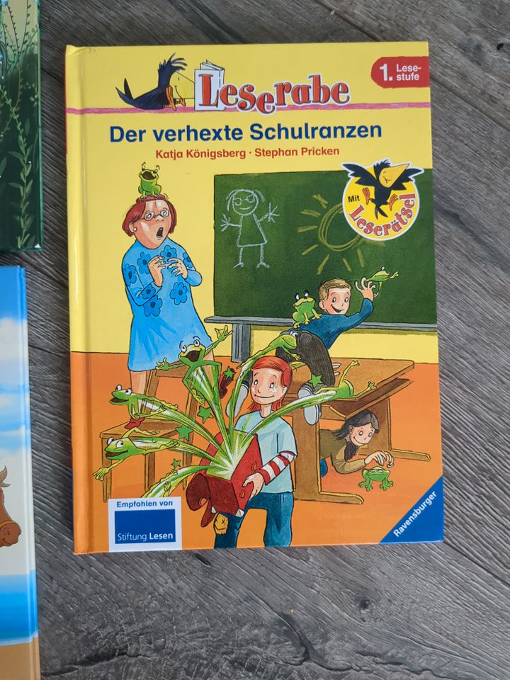 Kinderbücher Erstleser Leserabe Bibi Tina Prinzessin in Gevenich Eifel