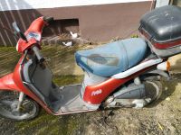 Piaggio free 25 Rheinland-Pfalz - Billigheim-Ingenheim Vorschau