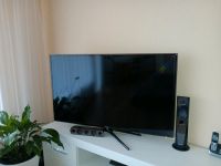 Samsung LED TV 46 " Schleswig-Holstein - Hemmingstedt Vorschau