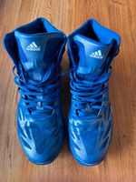 Adidas Schuhe in blau (Gr. 46) Baden-Württemberg - Bad Wildbad Vorschau