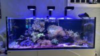 Gelegenheit - Salzwasser Aquarium Set komplett wg. Hobbyaufgabe Bayern - Taufkirchen München Vorschau