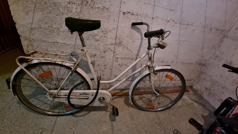 Fahrrad für Damen/Herren in Mönchengladbach