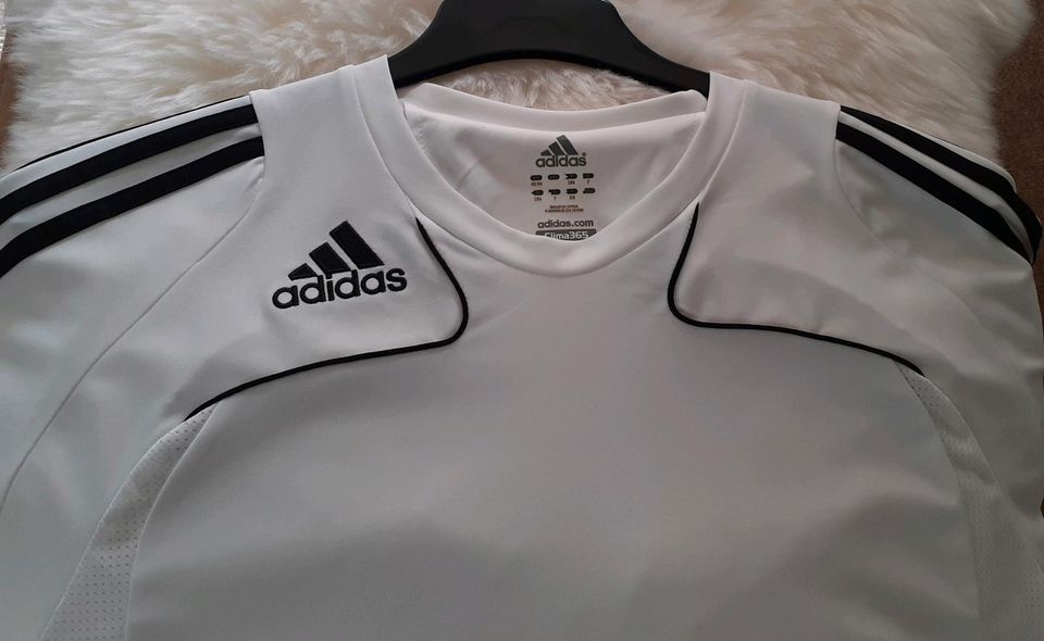 3 ADIDAS Sportshirts 1× Gr.M ,2×Gr.7 Je 13 €€ in Worms