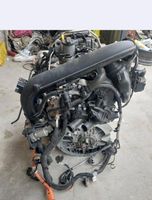 Motor 1.4 TSI CUK CXU  GOLF VII PASSAT 156PS Berlin - Wilmersdorf Vorschau