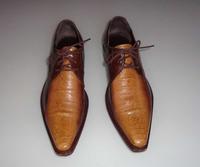 SENDRA BOOTS Halbschuh Avestruz Echtleder Gr. 41 NEUWERTIG Bayern - Piding Vorschau