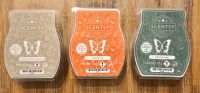 Scentsy Duftbars Teil 1 Hessen - Korbach Vorschau