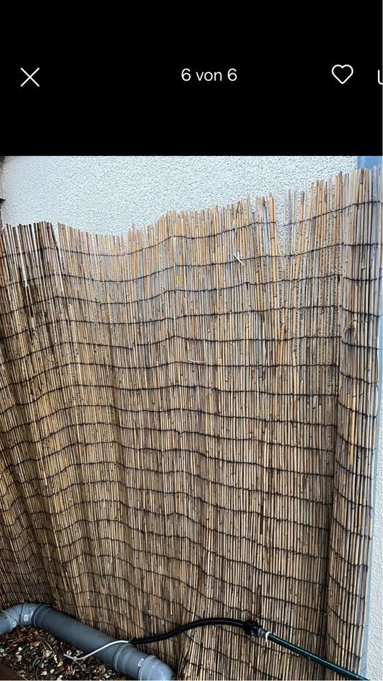 Bambus Matte Sichtschutz 2m x5,5/6m Schilfrohrmatte Bambusmatte in Rees