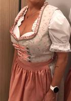 Dirndl ( ungetragen )  Größe 40 , altrosa Hannover - Döhren-Wülfel Vorschau