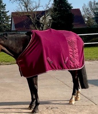 Cavallo Schabracke Dressur WB *wild Berry* Set in Zeithain