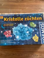 Kristalle züchten Neu Baden-Württemberg - Rheinmünster Vorschau