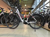 *REDUZIERT* EBike, E-Bike, Falter, 8.2 FL 400 Wave, 55 28" Hessen - Weilburg Vorschau