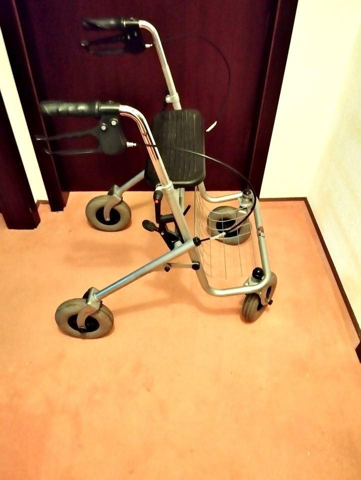 Rollator B+B Mod.4003 120Kg große Räder in Reichelsheim (Odenwald)