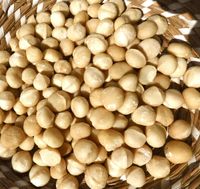 1 kg Macadamia Nüsse aus Kenia, 1 kg, zertifiziert Nordrhein-Westfalen - Delbrück Vorschau