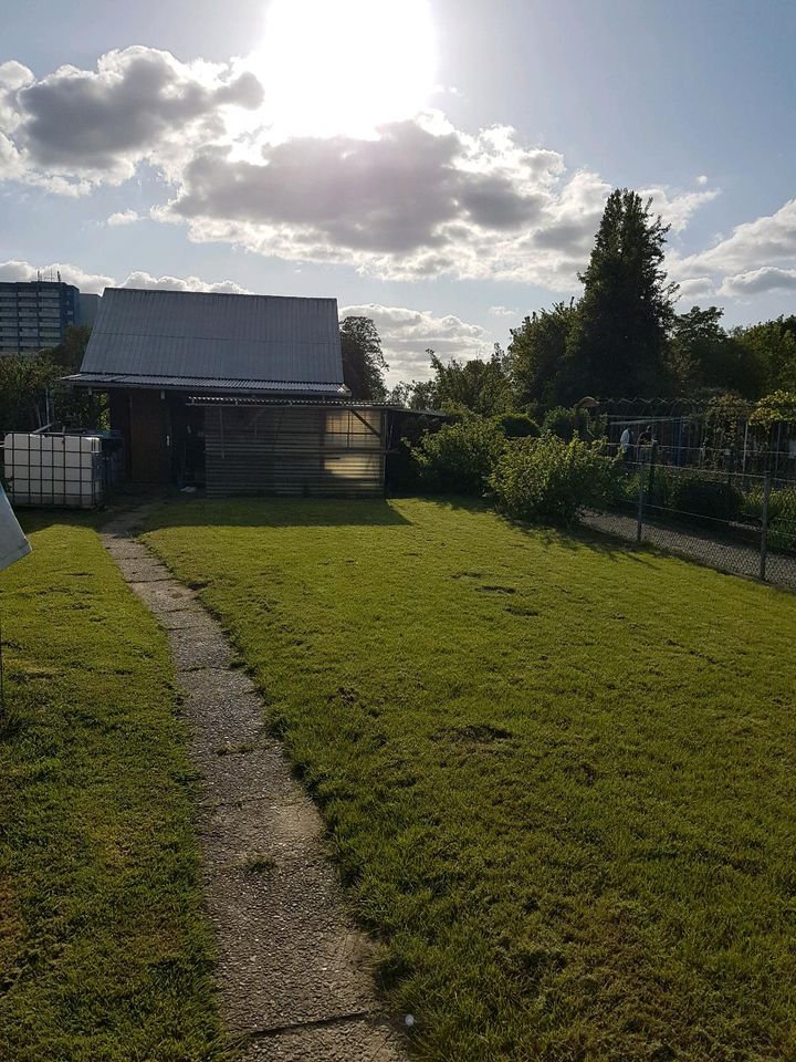 Schrebergarten, Garten mit Häuschen in Niedersachsen Braunschweig