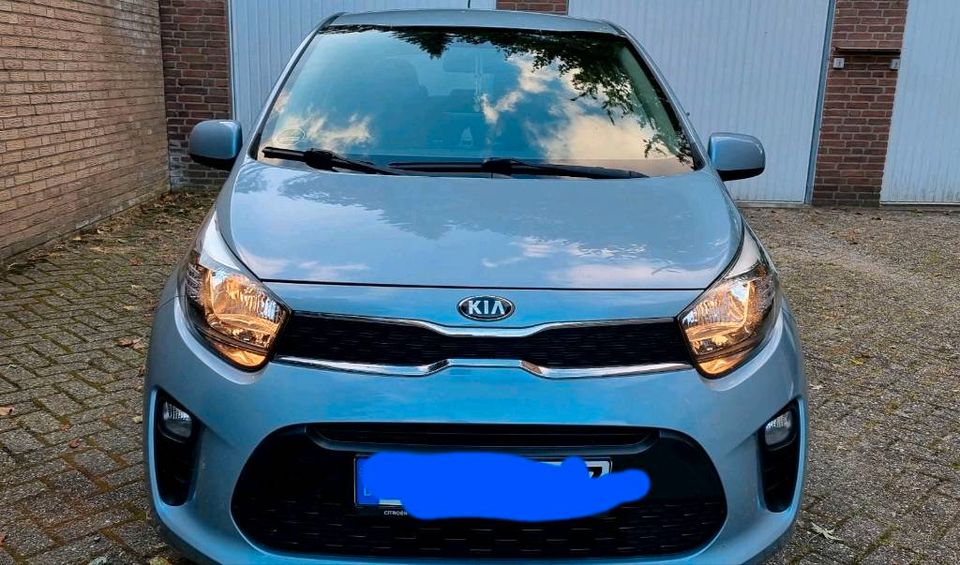 Kia Picanto 1.0 UNFALLFREI in Lingen (Ems)