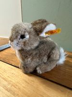 Wie Neu! Steiff 077708 Dormili Hase Kuscheltier Wandsbek - Hamburg Eilbek Vorschau