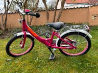 Puky Kinderfahrrad Bayern - Burgthann  Vorschau