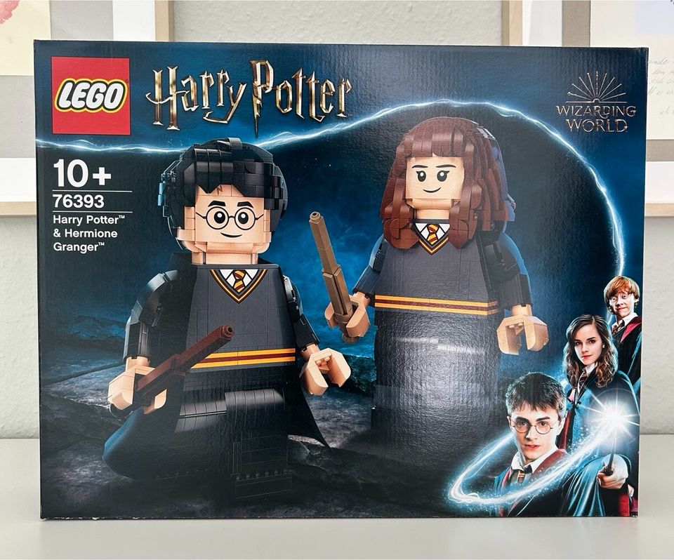 LEGO Harry Potter & Hermine Granger 76393 in Weil am Rhein