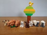 Lego Duplo Tiere Baum Thüringen - Erfurt Vorschau