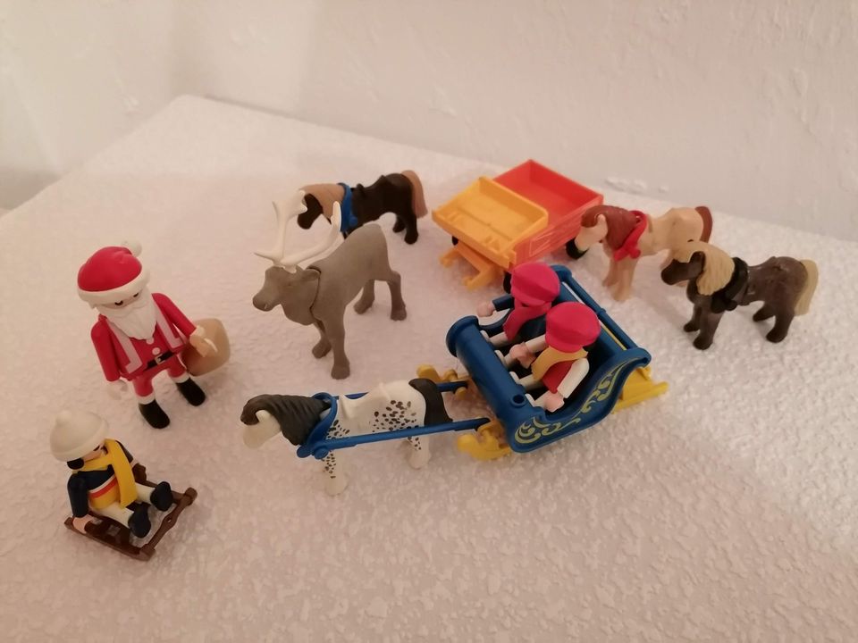 Playmobil Pony Schlitten in Schmitten