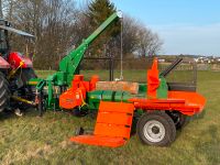 Brennholz Spalten im Lohn Holzspalter Hessen - Wehrheim Vorschau