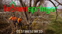 Baumpflege - Baumfällung - Obstbaumschnitt - Baumgutachten Niedersachsen - Göttingen Vorschau