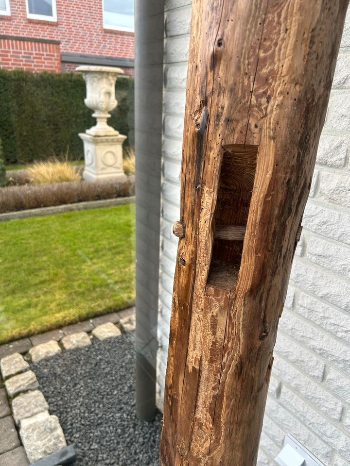 Stehlampe Leuchte Holz massiv Fachwerbalken Landhaus in Ahaus