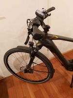 E-Bike mit Bosch CX und 620 Watt Trekking Rad 52RH Rheinland-Pfalz - Mutterstadt Vorschau