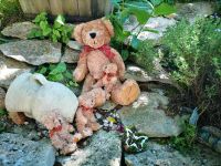 Teddy Familie mit 3 Teddykindern Nordrhein-Westfalen - Borchen Vorschau