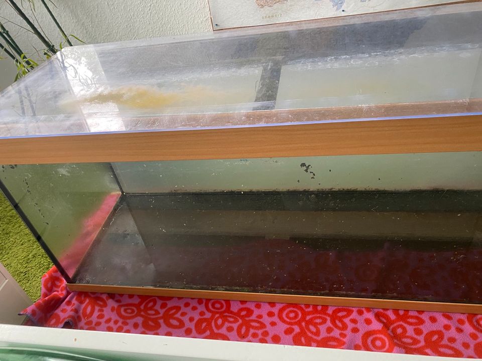 240 Liter Aquarium zu verkaufen in Soltau