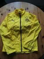 BVB Traingsjacke Gr. 176 Berlin - Marzahn Vorschau