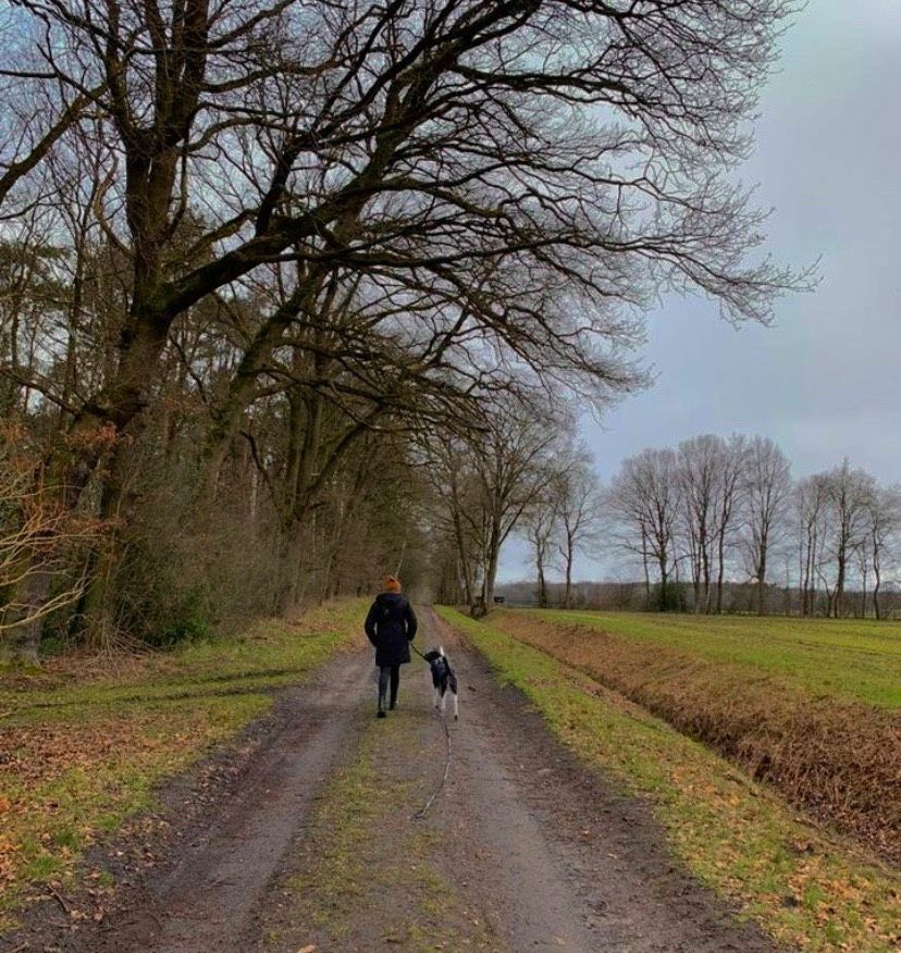 Hundeausführer/ Dogwalking in Langenhagen