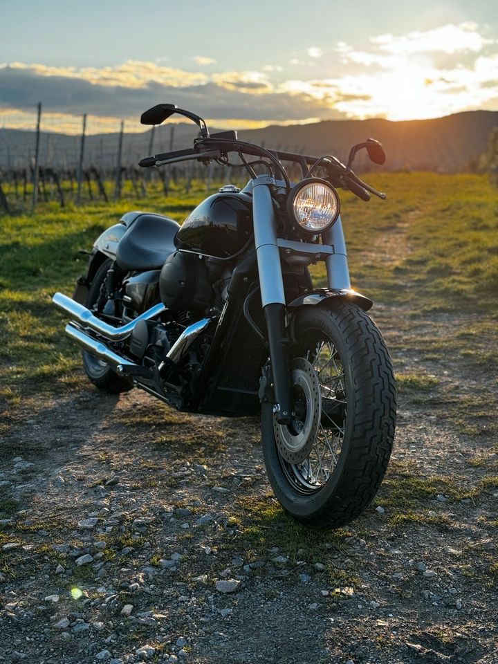 Honda Shadow Black Spirit VT 750 in Dannstadt-Schauernheim