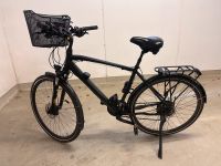 Trekking E-Bike Herren 28“ Prophete 250W Hannover - Südstadt-Bult Vorschau