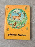 Altes Kinderbuch "Igelinchens Abenteuer" von ca. 1960 Baden-Württemberg - Pfinztal Vorschau