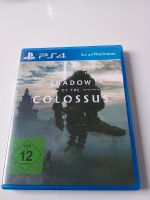 Shadow of the Colossus Hessen - Linden Vorschau