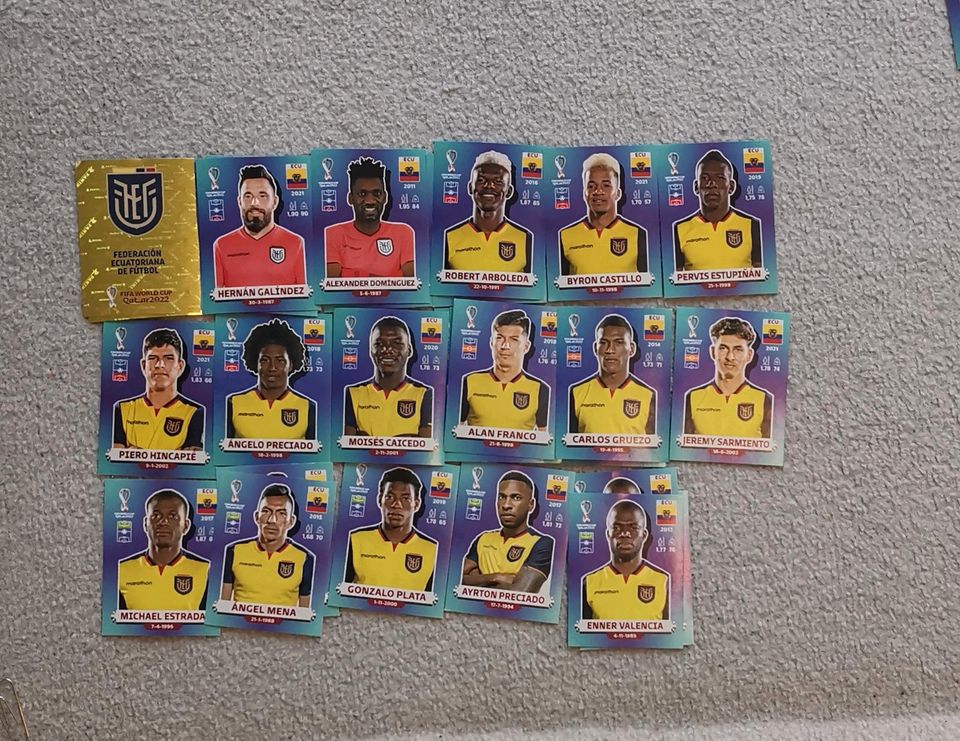 17 Sticker ECU Panini WM 2022 Fussball in Feldkirchen-Westerham