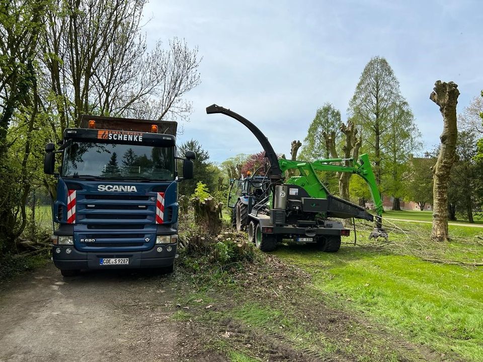 Baumpfleger, ETW und Helfer in der Baumpflege gesucht in Billerbeck