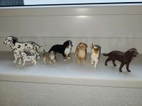 Schleich Hunde Set Hessen - Münzenberg Vorschau