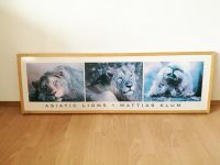 Bild, Ikea, Asiatic Lions, 117 x 37 cm Baden-Württemberg - Mannheim Vorschau