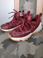 NIKE LeBron XIII 13 Low GS Gr. 35,5 Sneaker Basketballschuhe Schleswig-Holstein - Rendsburg Vorschau