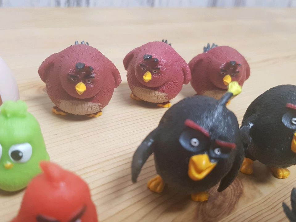 Angry Birds mit Eierschalen Sammlung in Bonn