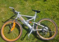 Herren Mountainbike Carbon Rahmengröße 45 Silber München - Ramersdorf-Perlach Vorschau