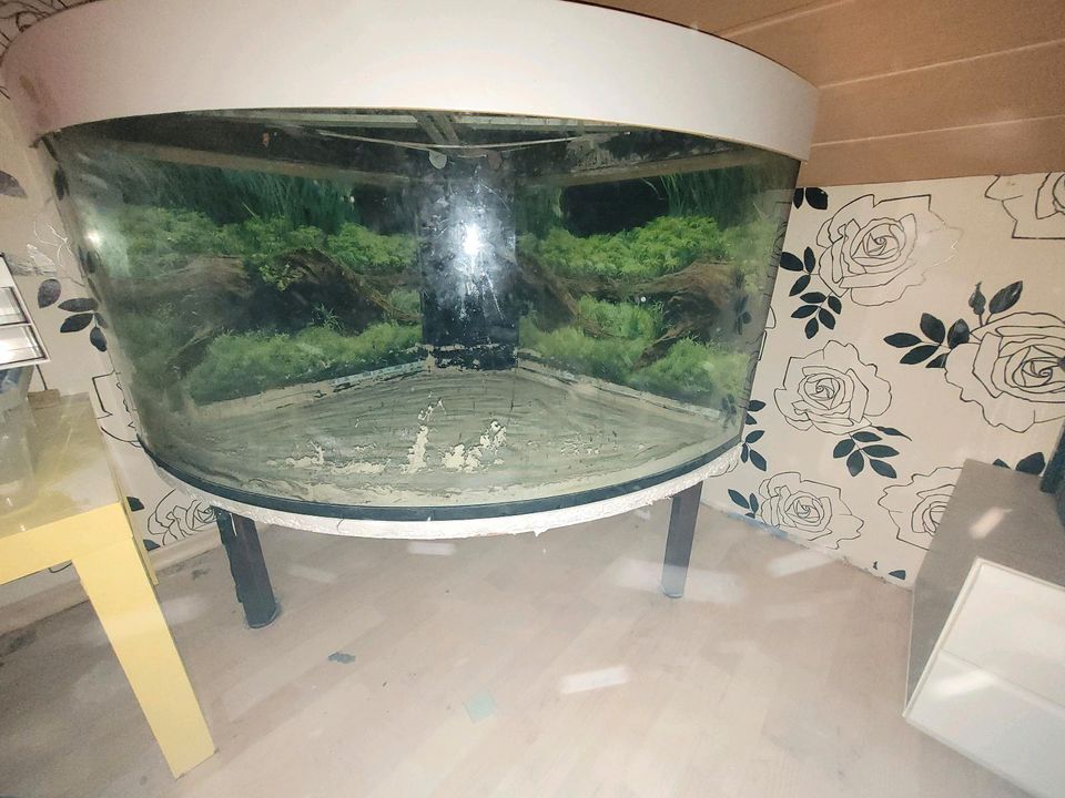 Aquarium mit Technik in Diemelsee