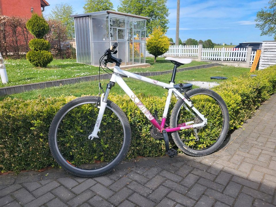 Scott Damen Mountainbike in Mücheln (Geiseltal)